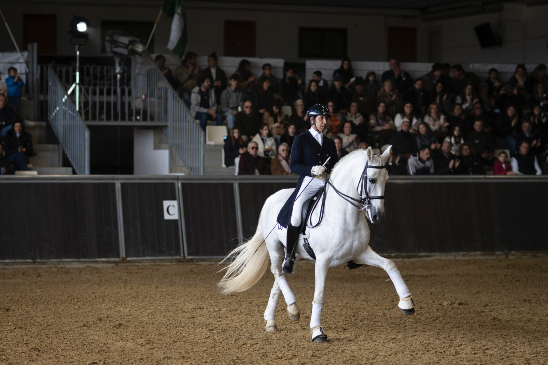Classical Dressage