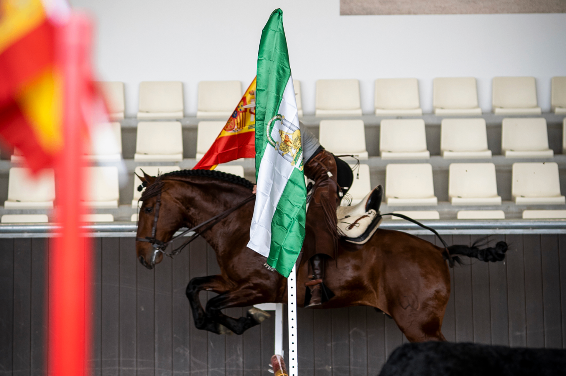Working Equitation